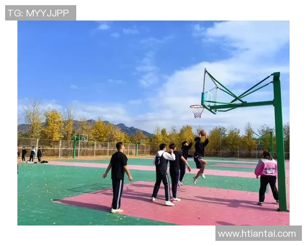 明星篮球馆：汇聚明星力量的篮球盛宴与青春梦想的舞台